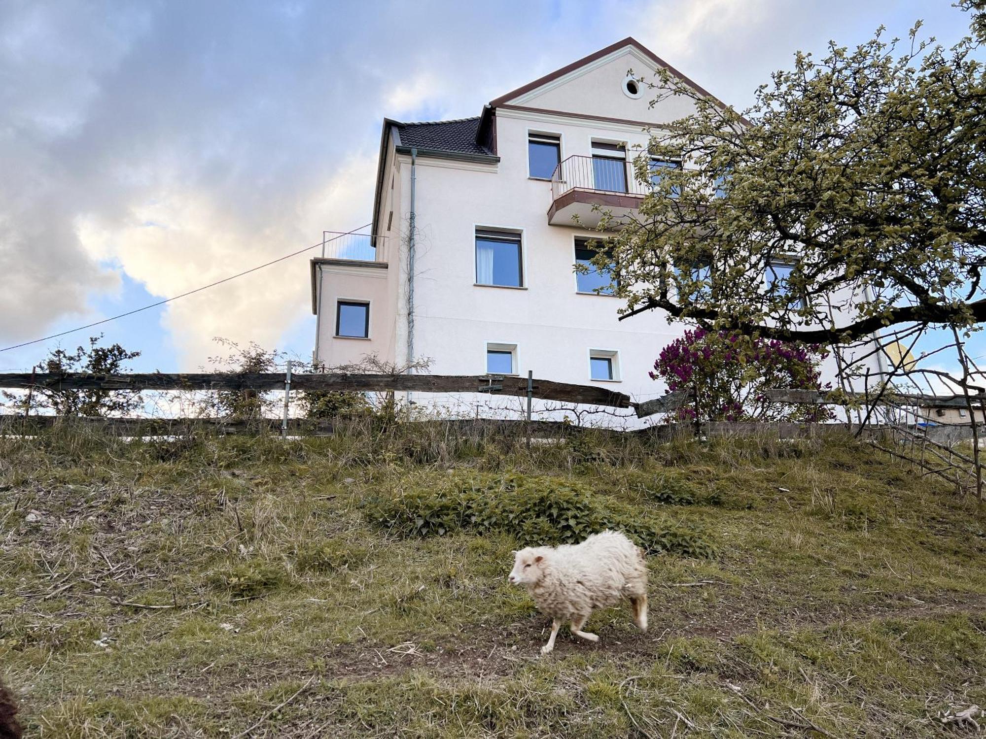 Villa Ueberblick Nalbach Exteriör bild