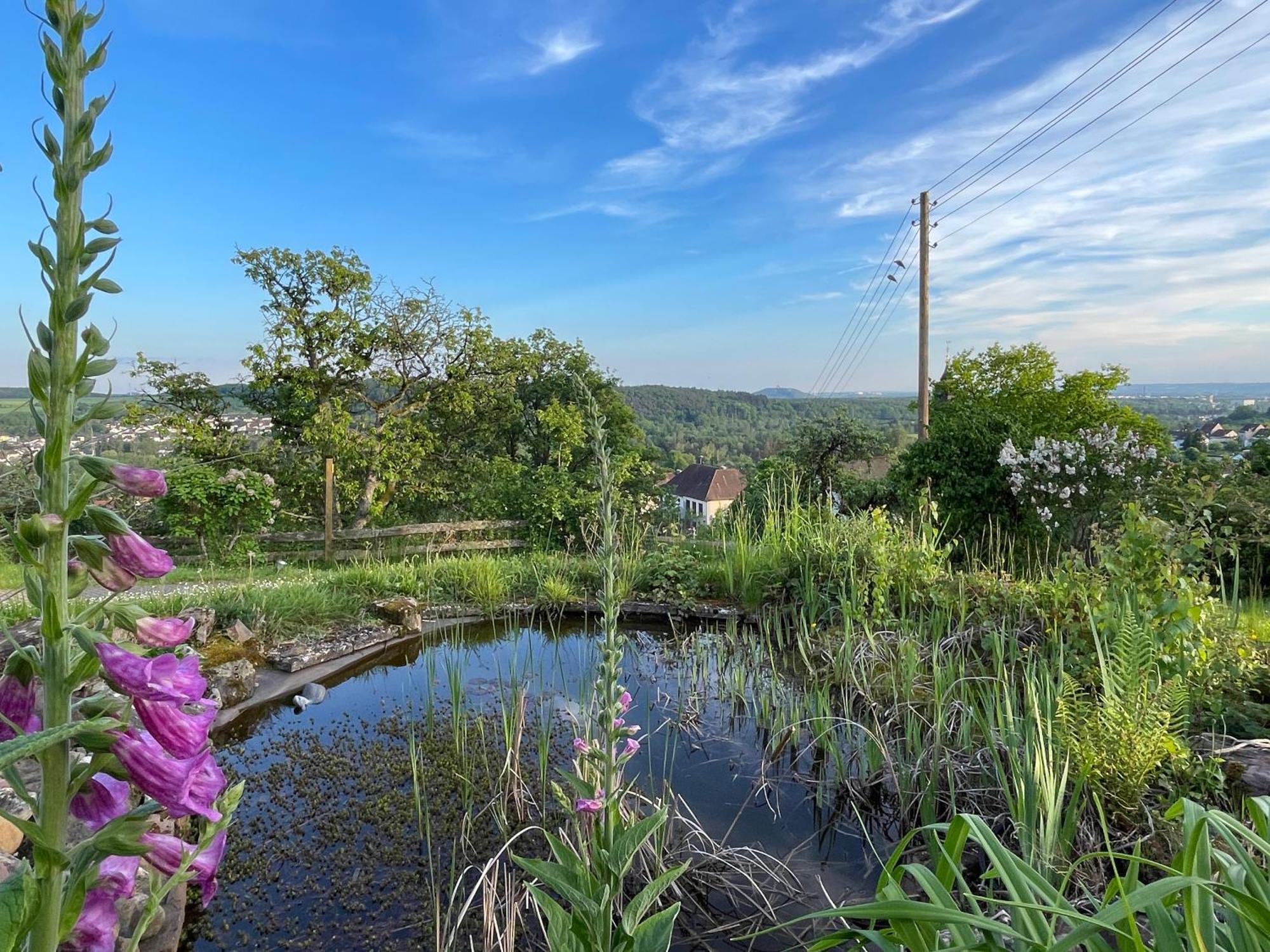 Villa Ueberblick Nalbach Exteriör bild