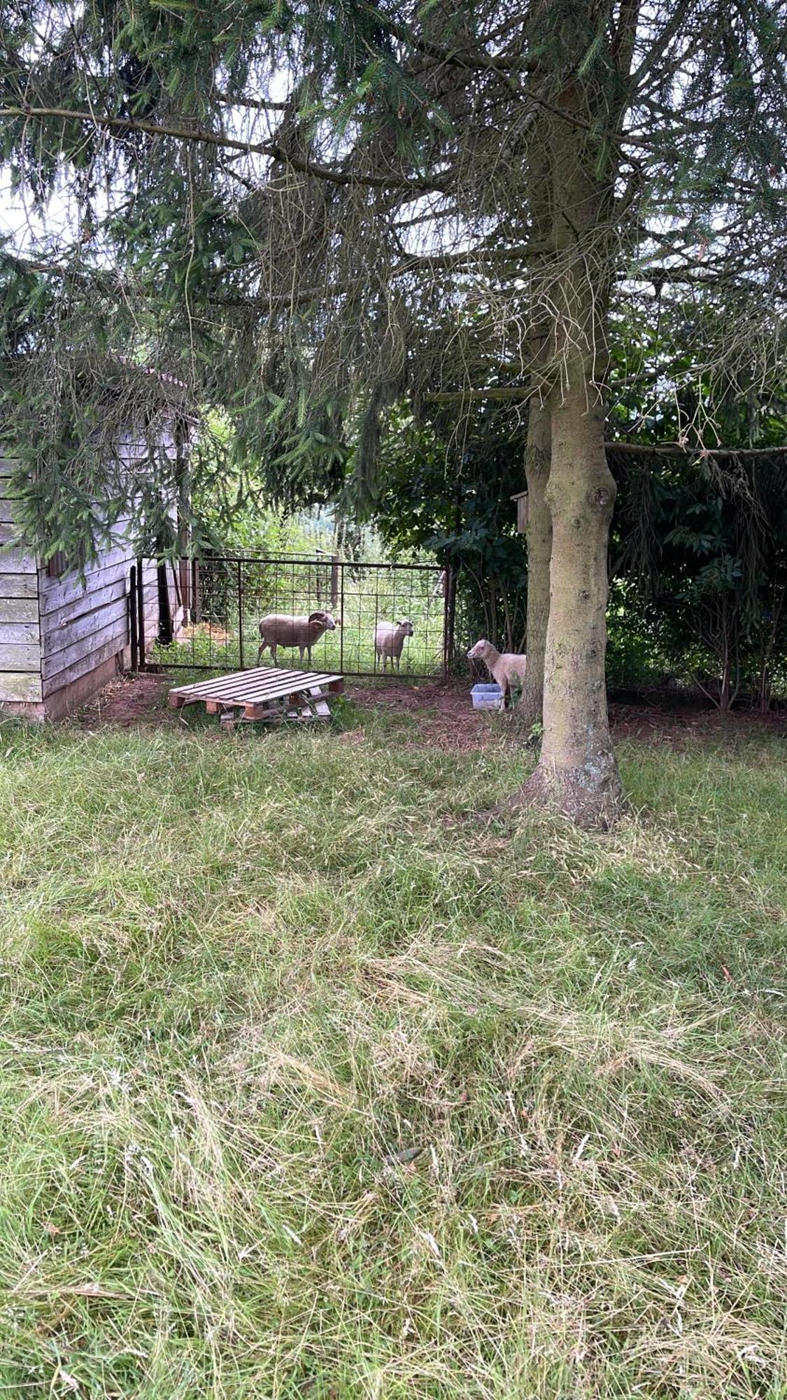 Villa Ueberblick Nalbach Exteriör bild